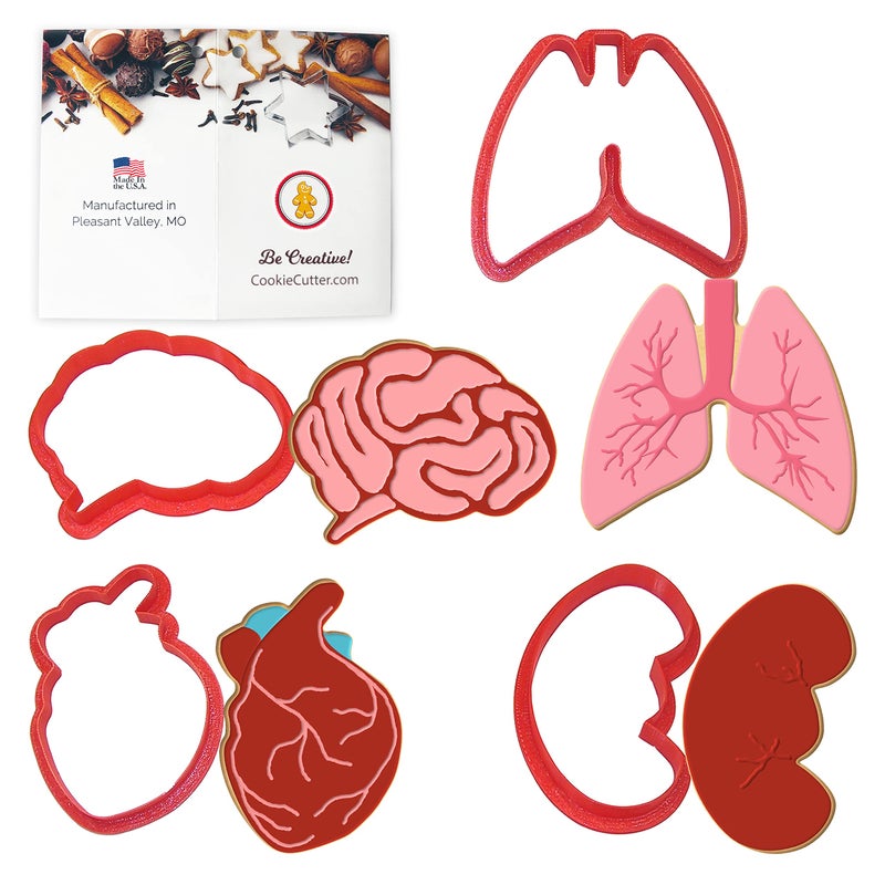 CookieCutter.com Anatomical Body Parts Cookie Cutter 4 Pc Set â€“ Kidney, Heart, Lungs, Brain Plastic Cookie Cutters, Made in USA - Image 1